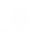 Kinkstructure